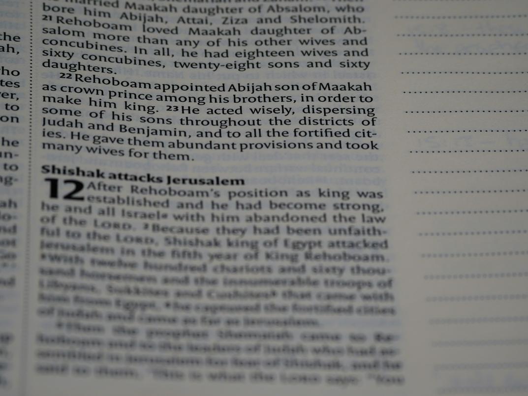 im not familiar with the term sudenzlase could you clarify what it refers to