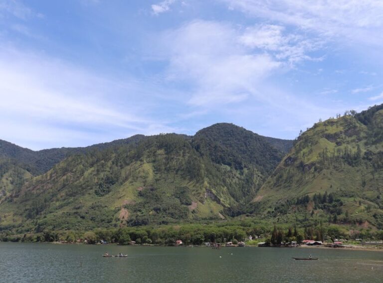 lukisan hidupan laut hitam putih